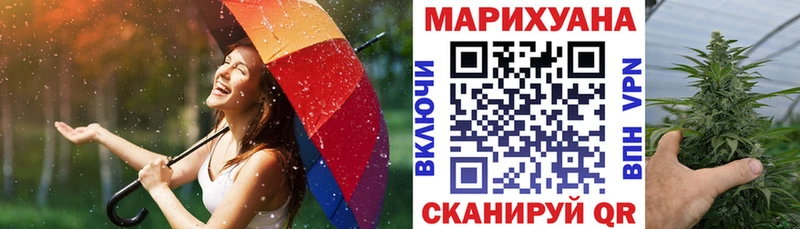 omg   купить   Кострома  Бошки марихуана марихуана 